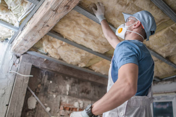 Best Geographic-Specific Insulation Services in Hugoton, KS