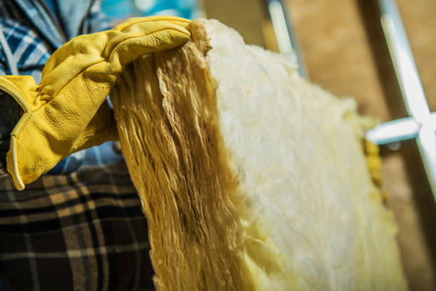 Best Eco-Friendly Insulation in Hugoton, KS